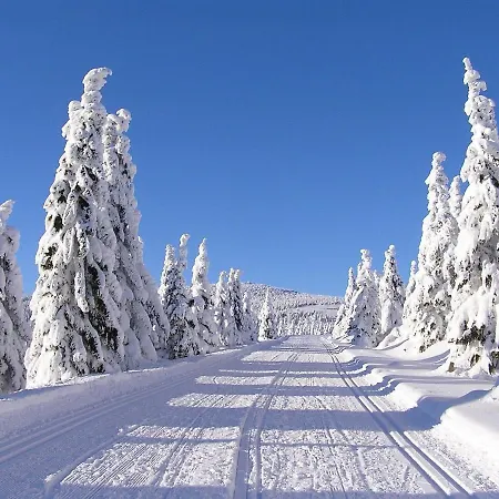 Sejkorka
