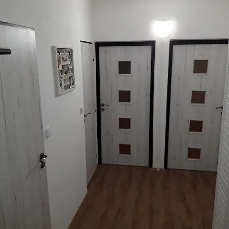 Sejkorka *