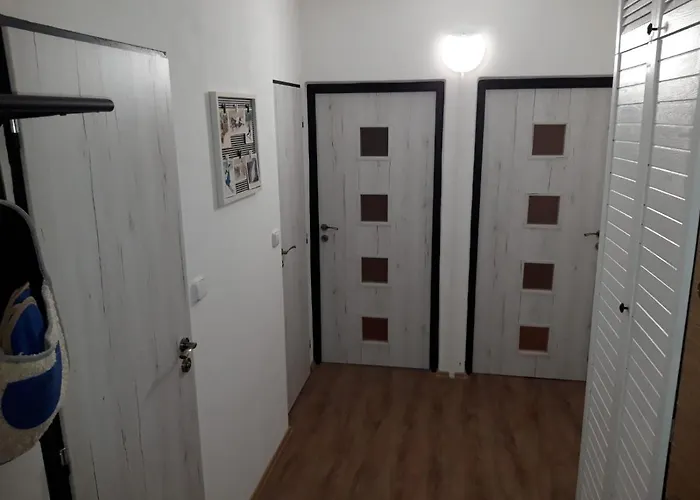 Sejkorka *